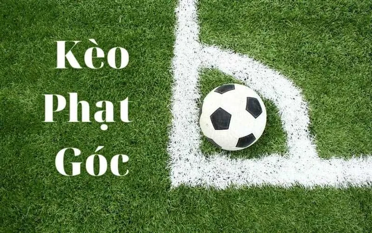Cách Chơi Kèo Phạt Góc Bóng Đá Dễ Thắng Nhất
