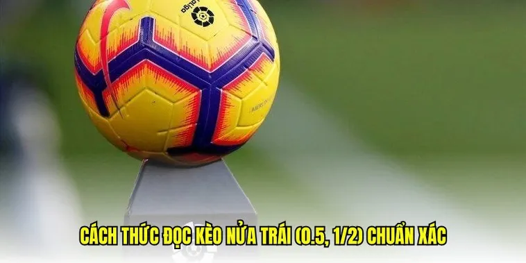 Bí Quyết Chinh Phục Cách Chơi Kèo Chấp 0.5 Trăm Trận Trăm Thắng