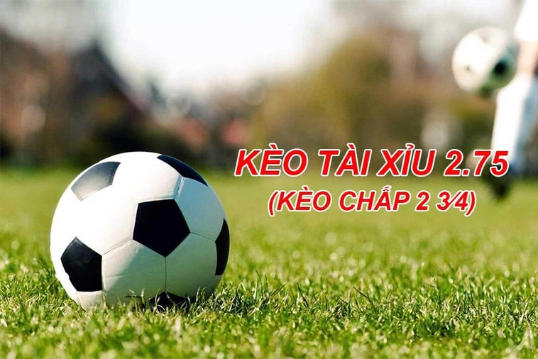 Tuyệt Chiêu Đọc Vị Và Cách Chơi Kèo 2.75 Luôn Thắng Trong Bóng Đá