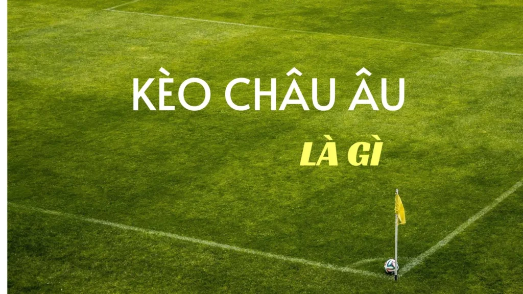 Cách Chơi Kèo Châu Âu Hiệu Quả Với Lợi Nhuận Cao