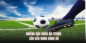 Bí Kíp Bắt Kèo Rung Trong Bóng Đá Siêu Hiệu Quả Cho Người Mới