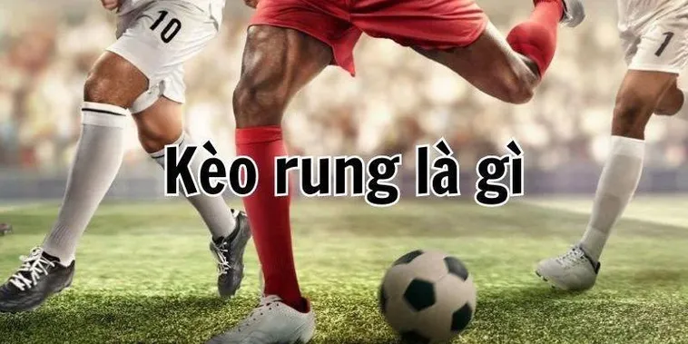 Bí Kíp Bắt Kèo Rung Trong Bóng Đá Siêu Hiệu Quả Cho Người Mới